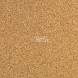 Ковролин Brintons Finepoint Spencer-Harvest f 46 фото 1 | FLOORDEALER